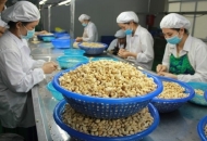 Rủi ro luôn tiềm ẩn trong thương mại quốc tế